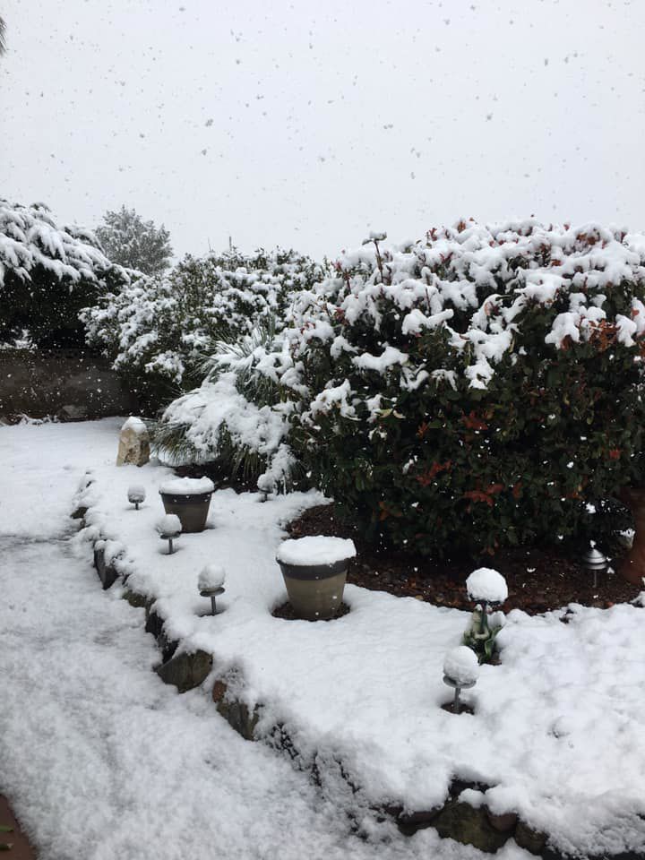 Snow on Tucson's east side
